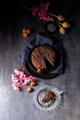 juicy poppy seed cake with apples and chocolate glaze