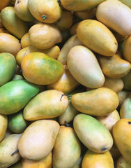 heap of raw mangoes fruits background