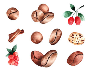Set of illustrations of coffee beans, Arabica and Robusta. Watercolor. Сookies and cinnamon. Illustration for fabrics, posters, postcards, packaging paper, cafes