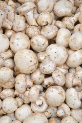 mushrooms and vegetables on background