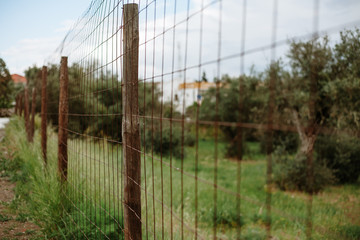 Obraz premium Fences background