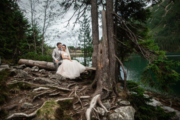 Happy groom and his charming new wife holding each other while sitting on the shore of forest lake Morskie Oko