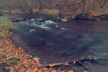 Fototapeta na wymiar River in the forest in autumn.