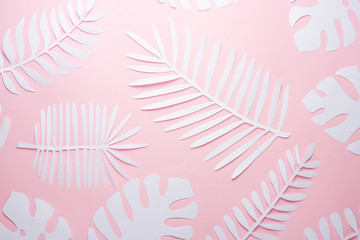 Tropical leaf pattern. Various paper leaves on a pastel background. art. Flat lay, top view. Background on pink