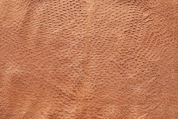 Ostrich skin texture