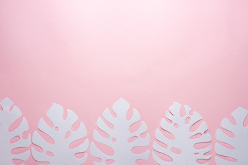 Tropical leaf pattern. Various paper leaves on a pastel background. art. Flat lay, top view. Background on pink