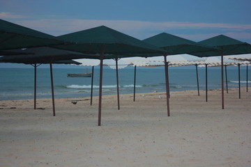  Parasols of green and white color against the background of the sea.
