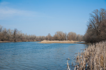 Sprin flood on river