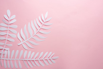 exotic leaves. pink and white leaves. Poster with design elements. Art background pink. Flat lay