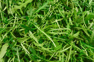 Fresh leaves of arugula as background.