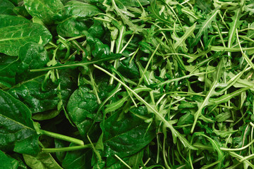 Fresh leaves of arugula and spinach as background.