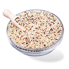 Dry quinoa seeds isolated on white background