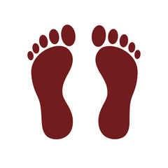 Human feet vector illustration