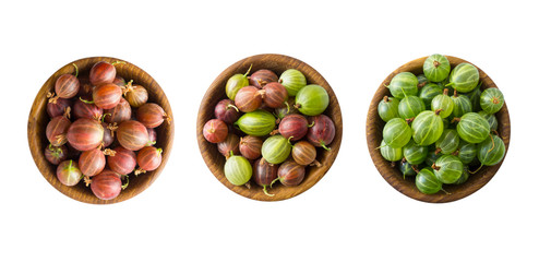 Set of gooseberry. Gooseberries fruits isolated on white background. Gooseberries in a bowl with copy space for text. Green and red gooseberry isolated on white. Top view.