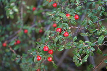 Der Fr&uuml;hling ist da!