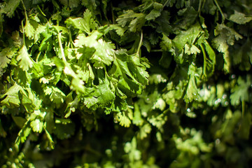 Parsley at the Farmer's Market. Organic food