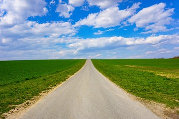 Fototapeta premium Field Row Landscape