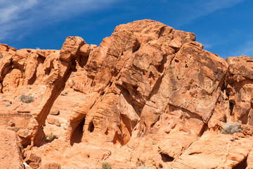 Fototapeta premium Elephant Rock 13