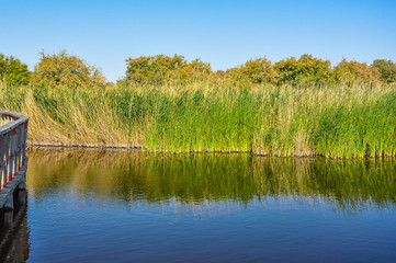 Tablas de Daimiel National Park is a wetland on the La Mancha plain, Ciudad Real, Spain. 