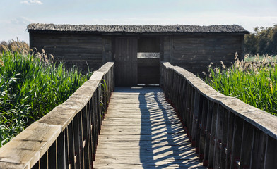 Tablas de Daimiel National Park is a wetland on the La Mancha plain, in the province of Ciudad Real, Spain.