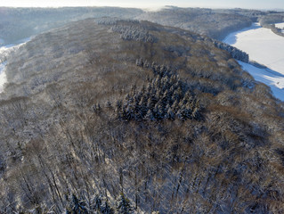 Aerial view of a snow covered forrest during sunny winter day
