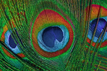 Keuken spatwand met foto peacock feather © Кузнецова Евгения
