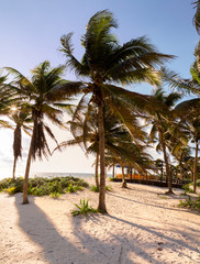 Obraz na płótnie Canvas Paradise Beach also called Playa Paraiso at sunrise - Tulum, Quintana Roo, Mexico