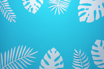 Fototapeta na wymiar Tropical leaf pattern. Various paper leaves on a pastel background. art. Flat lay, top view. Background on blueprints. Loop background, summer mood