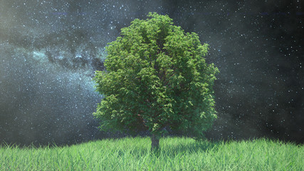 3d illustration growing tree on a hill with grass on the background of the Milky Way, space and...