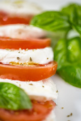 Caprese salad with mozarella cheese, tomatoes and basil