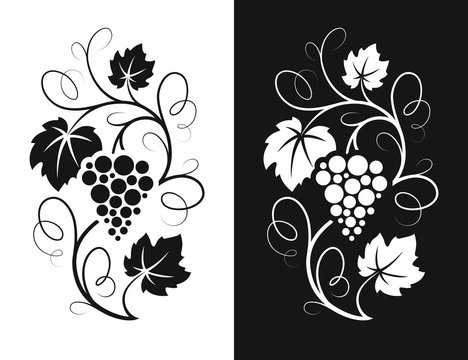 Grapes decorative pattern.