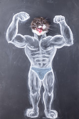  Front view of close-up of strong and bold superhero. Strong cat - man. Cat bodybuilder. Fintness club logo.