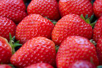 Close up view of dozen of fresh red strawberries. Delicious and juicy tasty fruit. Seen from the side view. Healthy fruit for diet. Beautiful wallpaper and background of fruit concept.