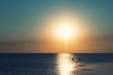  Children bathe in the sea in the evening at sunset. Sunset on the beach. Bright sunset against the sky and the sea. Beautiful sunset over a calm ocean or sea.