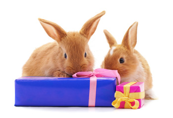 Two rabbits with gifts.