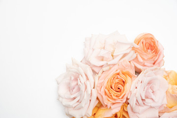 Pink and Blush Rose Floral Flat Lay Background