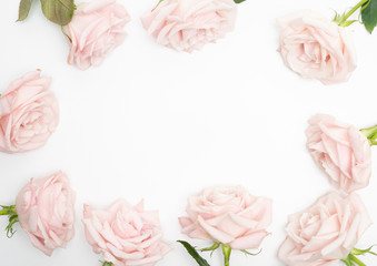 Blush Rose Floral feminine flat lay  background