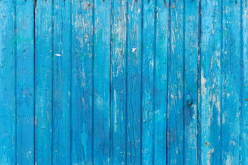 Staples on an old wooden wall.