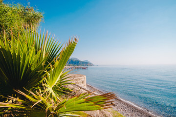 Tropical summer landscape with beach. Palm on first plan and sea, mountains and sky on background