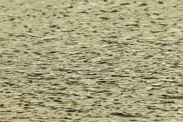 The blue silky waves