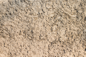 Decorative plaster. Rough plastered surface