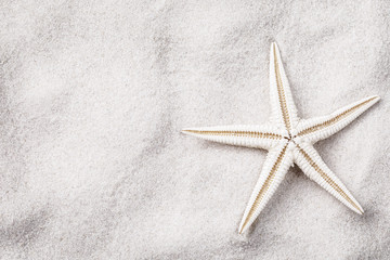 Fototapeta na wymiar White starfish on sand with copy space, top view