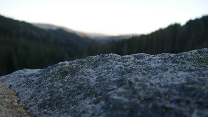rocks in the forest