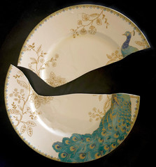 Broken China Plate with Peacock