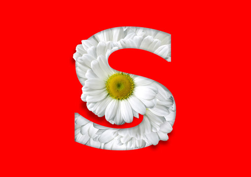 flower in letter