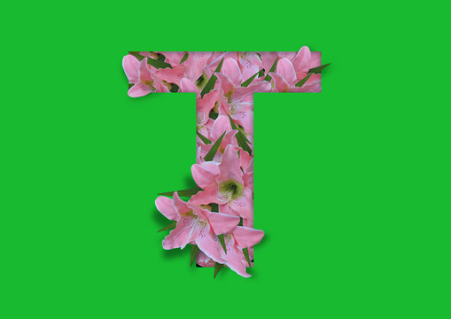 flower in letter