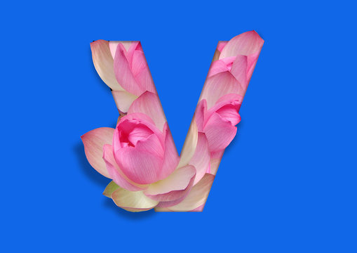 flower in letter