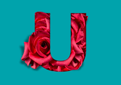flower in letter