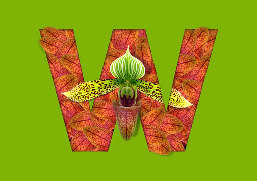 flower in letter