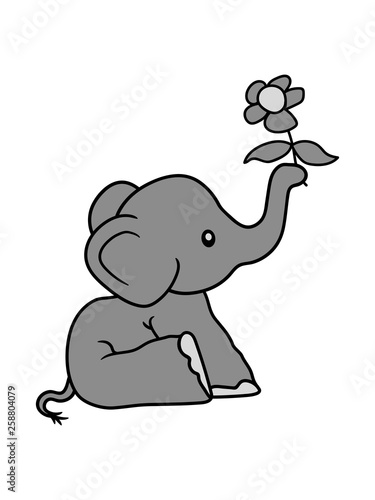 Fototapete Elefant Blume Halten Schenken Muttertag Valentinstag Sitzend Suss Kalb Klein Kind Baby Clipart Comic Cartoon Niedlich Dickhauter Savanne Russeltier Jumbo Grauer Riese Style O Mat